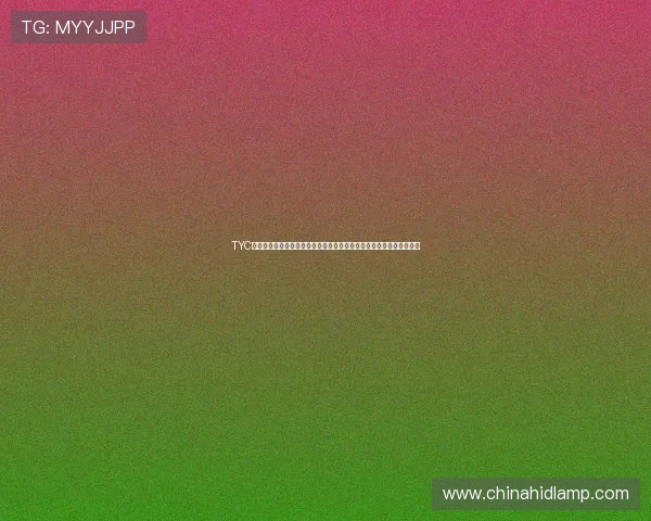 TYC列出欧美杯备选场地包括迈阿密硬石体育场和伯纳乌温布利等知名场馆